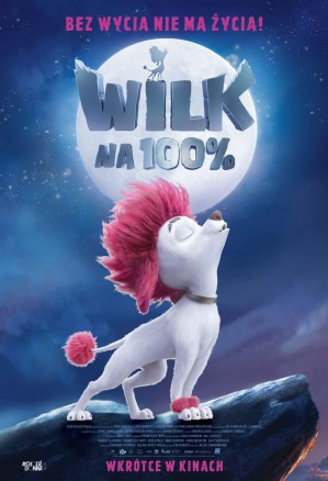 Wilk na 100%
